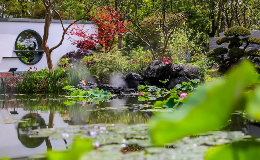 1627196605655054.jpg 1627196605655054.jpg